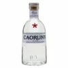 Caorunn Volumen 70cl -Passion || Baileys || Martini Tienda de ventas caorunn